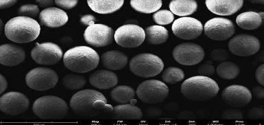 高純度窒化アルミニウムフィラー粉末（熱伝導性用）